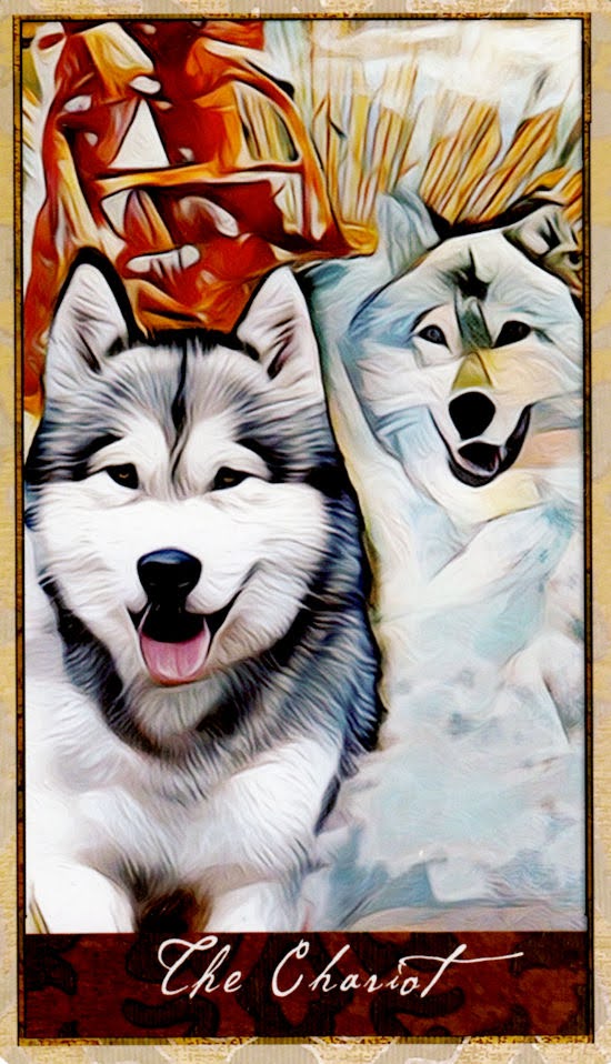 Wise Dog Tarot